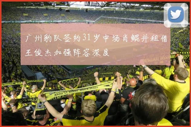 广州豹队签约31岁中场肖鲲并租借王俊杰加强阵容深度