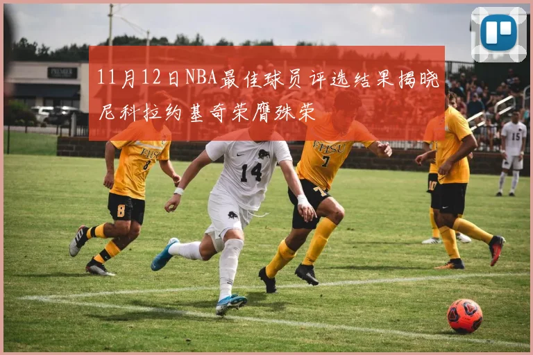 11月12日NBA最佳球员评选结果揭晓尼科拉约基奇荣膺殊荣